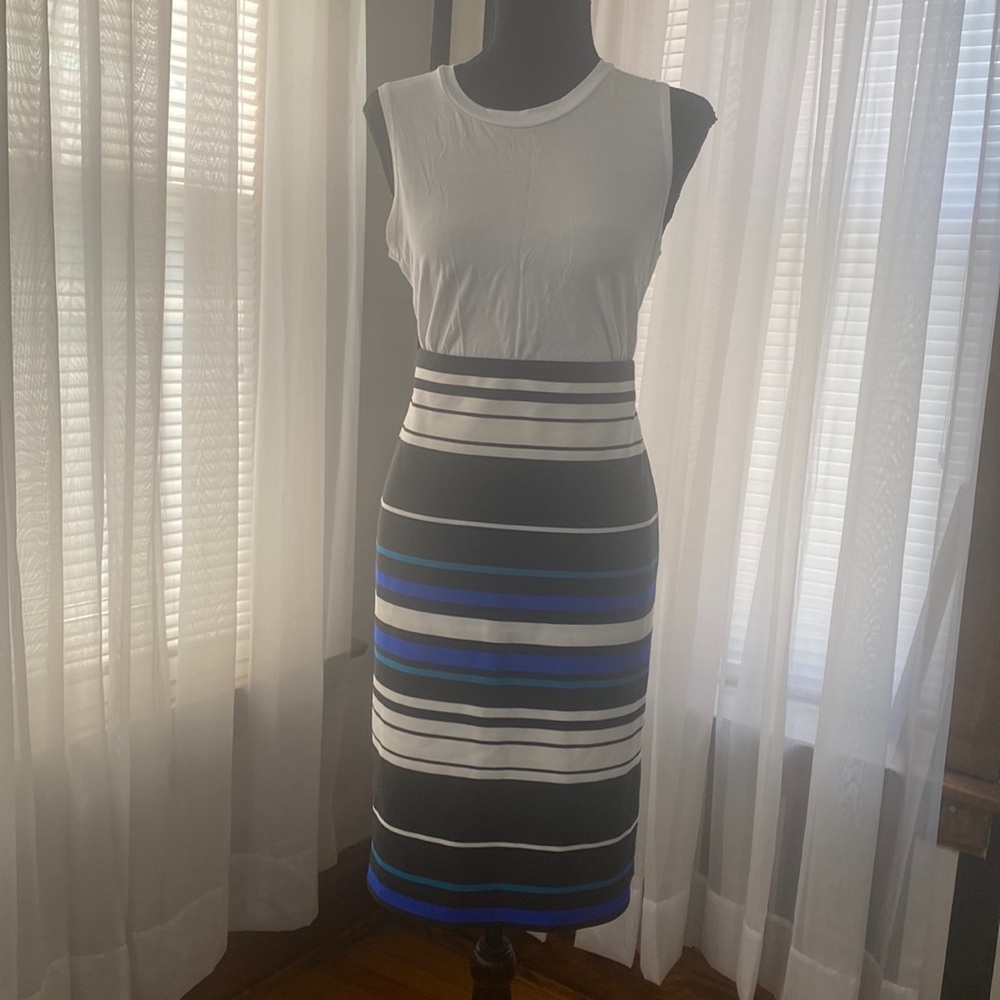 Women’s Skirt
